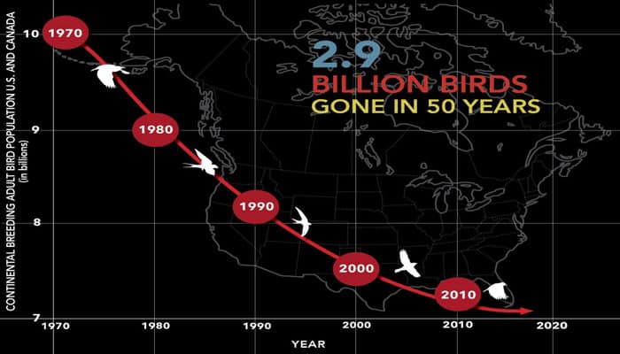 , Actu socialisme: L’agriculture industrielle a tué des milliards d’oiseaux